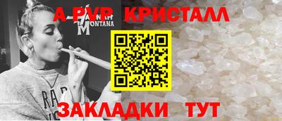 ПСИЛОЦИБИНОВЫЕ ГРИБЫ Донской