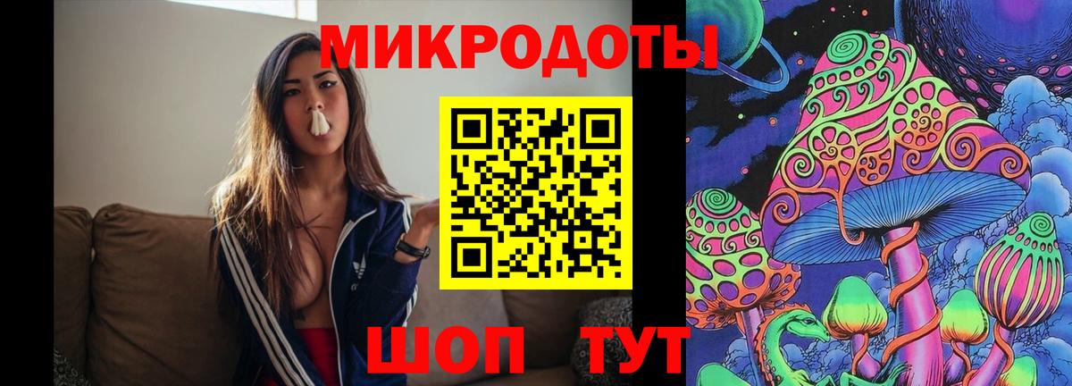 Псилоцибиновые грибы Psilocybe Кимры